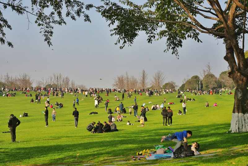 重慶中央公園，市民在草坪上曬太陽、放風(fēng)箏。重慶日報(bào).jpg