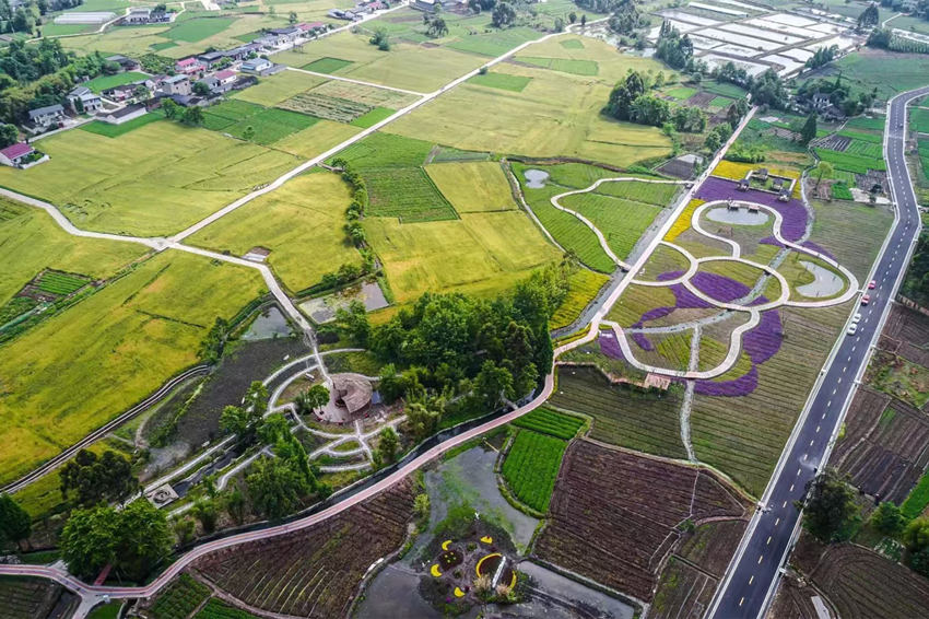 彭什川芎現(xiàn)代農(nóng)業(yè)園區(qū)航拍。敖平鎮(zhèn)供圖