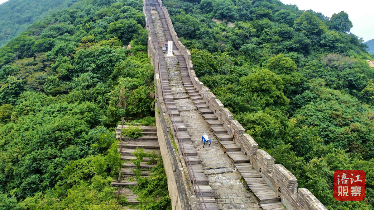 “綿陽造”機器人亮相2024世界機器人大會1_1.jpg